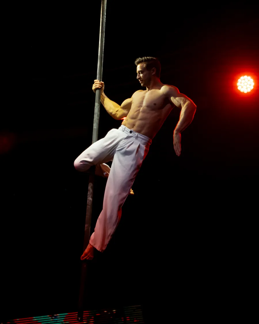 Aerial pole